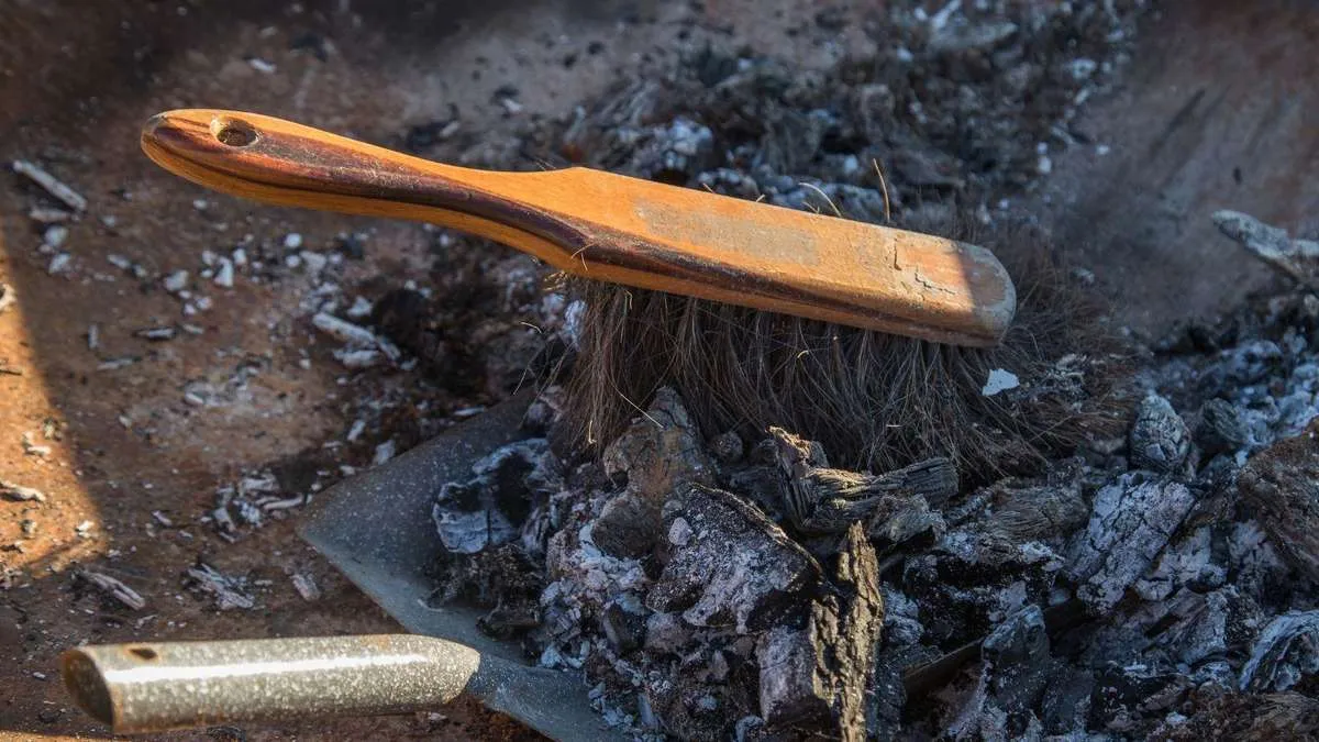 Turn Wood Ash Into Garden Gold